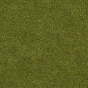 grassdry_128HV texture from mihouse1.txd (128x128 DXT1)