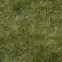 grassgrn256 texture from anotherbuildsfe.txd (128x128 DXT1)