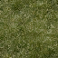 grassgrn_lod texture from lodvgsslod.txd (64x64 DXT1)