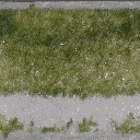 grasspave256 texture from landhub.txd (256x256 DXT1)