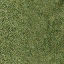 grassshort2long256 texture from lodcunty.txd (64x64 DXT1)
