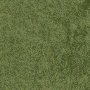 grassshort2long256 texture from lsbeachside.txd (128x128 DXT1)