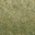 grasstype1-4 texture from lodcunty.txd (32x32 DXT1)