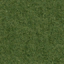 grasstype10 texture from cuntwlandcent.txd (128x128 DXT1)