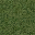 grasstype10 texture from lodcunty.txd (32x32 DXT1)
