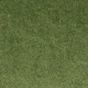 grasstype10_4blend texture from cuntwlandwest.txd (128x128 DXT1)