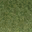 grasstype10_4blend texture from lodcunty.txd (32x32 DXT1)