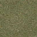 grasstype3 texture from casnorylgrnd.txd (128x128 DXT1)