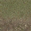 grasstype3dirt texture from lodcunty.txd (64x64 DXT1)