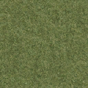 grasstype4 texture from cuntwlandwest.txd (128x128 DXT1)