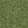 grasstype4 texture from lod_mount_sfs.txd (32x32 DXT1)