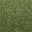grasstype4_10 texture from cs_lod.txd (32x32 DXT1)