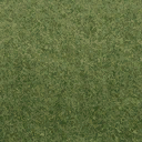 grasstype4_10 texture from cuntwland.txd (128x128 DXT1)