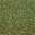 grasstype4_forestblend texture from cs_lod.txd (32x32 DXT1)