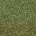 grasstype4_forestblend texture from cuntwlandwest.txd (128x128 DXT1)