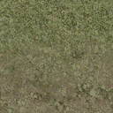 grasstype4_mudblend texture from cs_coast.txd (128x128 DXT1)