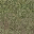 grasstype4_mudblend texture from lodcunty.txd (32x32 DXT1)