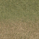 grasstype4_staw texture from cuntwland.txd (128x128 DXT1)