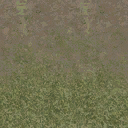 grasstype4blndtodirt texture from cuntwlandwest.txd (128x128 DXT1)