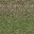 grasstype4blndtomud texture from lodcunty.txd (32x32 DXT1)