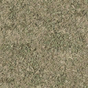 grasstype5 texture from des_se4.txd (128x128 DXT1)