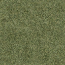 grasstype510 texture from cuntwlandcent.txd (128x128 DXT1)