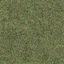 grasstype510 texture from lodcunty.txd (64x64 DXT1)