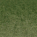 grasstype510_10 texture from cuntwlandcent.txd (128x128 DXT1)
