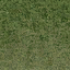 grasstype510_10 texture from lodcunty.txd (64x64 DXT1)