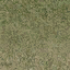 grasstype5_4 texture from lod_countn2.txd (64x64 DXT1)