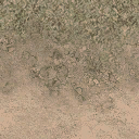 grasstype5_desdirt texture from des_se3.txd (128x128 DXT1)