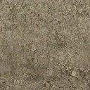 grasstype5_dirt texture from cuntwlandse.txd (128x128 DXT1)