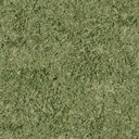 grasstype7 texture from pirateland.txd (128x128 DXT1)