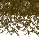 grifnewtex2x_LAS texture from beach_las.txd (128x128 DXT3)