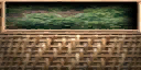 hangplant1_sf texture from sfxref.txd (128x64 DXT1)