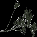 hazelbrnch texture from tree3.txd (128x128 ARGB32)