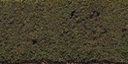 hedge1_law texture from venicegb02_law.txd (128x64 DXT1)