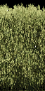hedgealphad1 texture from glenpark1x_lae.txd (64x128 DXT1)