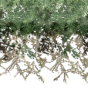 hilltest2_LAS texture from sw_oldshack.txd (256x256 DXT3)