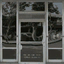 holshop_law texture from sunrise10_lawn.txd (128x128 DXT1)