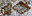 homies_1LOD texture from lod2lae1.txd (32x16 DXT1)