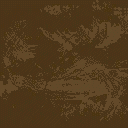 hotdog92glass128 texture from hotdog.txd (128x128 DXT1)