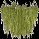kb_balcony_ferns texture from veg_leaves.txd (128x128 ARGB32)