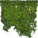 kb_ivy_256 texture from airportdetail.txd (256x256 DXT3)