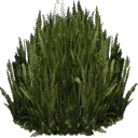 kbplanter_plants1 texture from centralresac1.txd (128x128 DXT3)