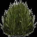 kbplanter_plants1 texture from veg_leavesplnt.txd (128x128 ARGB32)