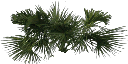 kbtree4_test texture from genintgeneric.txd (256x128 DXT3)