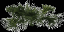 kbtree4_test texture from kbplantssmz2.txd (256x128 ARGB32)
