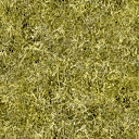 kickGrass texture from kickstart.txd (128x128 DXT1)