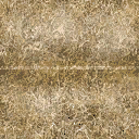 kickhay texture from gf3.txd (128x128 DXT1)